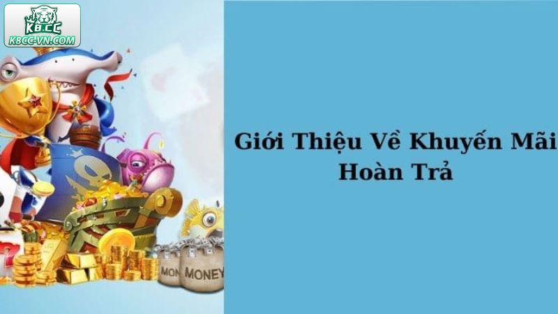 Khái quát về ưu đãi hoàn trả thua cược tại K8CC